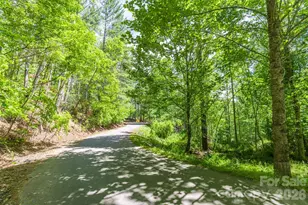 9999 River Edge Dr, Burnsville, NC 28714 - Photo 5