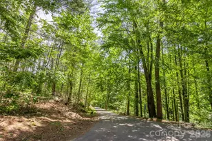 9999 River Edge Dr, Burnsville, NC 28714 - Photo 11