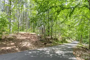 9999 River Edge Dr, Burnsville, NC 28714 - Photo 9