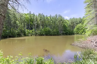 9999 River Edge Drive #2, Burnsville, NC 28714 - Photo 3