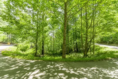 9999 River Edge Drive #2, Burnsville, NC 28714 - Photo 7