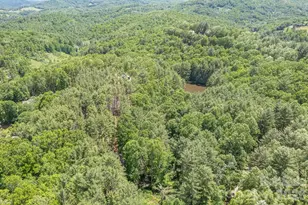 9999 River Edge Dr, Burnsville, NC 28714 - Photo 19