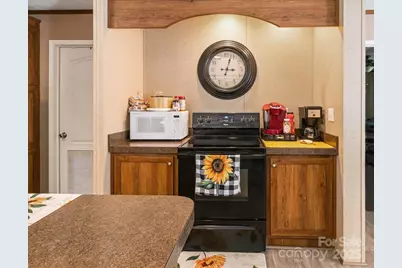 132 Bailey Mountain Road, Mars Hill, NC 28754 - Photo 21