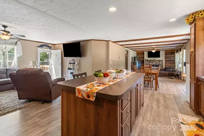 132 Bailey Mountain Road, Mars Hill, NC 28754 - Photo 19