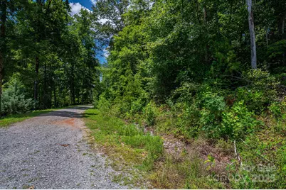 Lot 208 Plantation Drive, Rutherfordton, NC 28139 - Photo 9