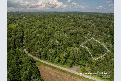 Lot 164 Plantation Drive, Rutherfordton, NC 28139 - Photo 3