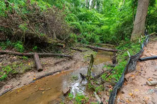 32 Waynesville Ave, Asheville, NC 28806 - Photo 29