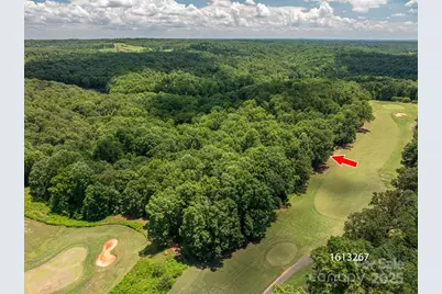 Lot 217 Plantation Drive, Rutherfordton, NC 28139 - Photo 3