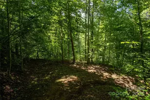 112 Hawks Nest Rdg, Cullowhee, NC 28723 - Photo 39