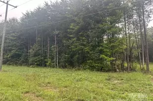 2342 Mt Pleasant Rd, Sherrills Ford, NC 28673 - Photo 1