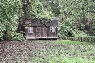 29 Toad Dr, Asheville, NC 28806 - Photo 19