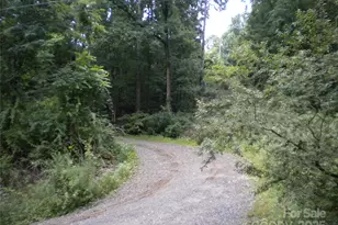 29 Toad Dr, Asheville, NC 28806 - Photo 21