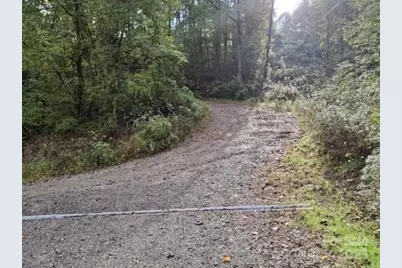 29 Toad Drive, Asheville, NC 28806 - Photo 3