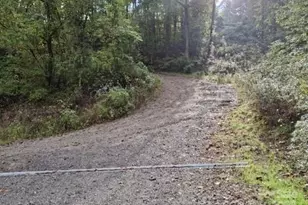 29 Toad Dr, Asheville, NC 28806 - Photo 3