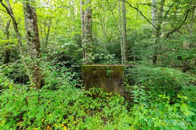 99999 Rock Creek Road, Burnsville, NC 28714 - Photo 5