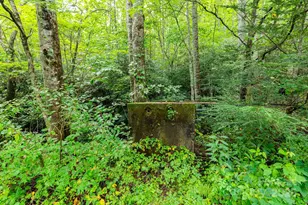 99999 Rock Creek Rd, Burnsville, NC 28714 - Photo 5