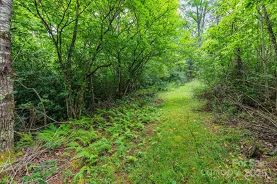 99999 Rock Creek Road, Burnsville, NC 28714 - Photo 3