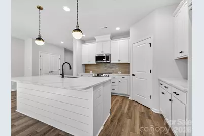 241 Alluvium Lane, Waxhaw, NC 28173 - Photo 5