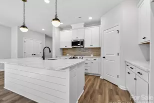 241 Alluvium Ln, Waxhaw, NC 28173 - Photo 3