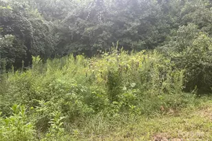 103 Cambridge Way, Waynesville, NC 28786 - Photo 3