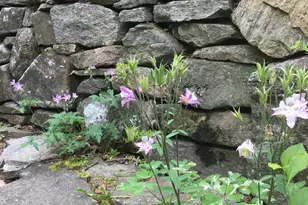 117 Woods View Trail, Fairview, NC 28730 - Photo 33