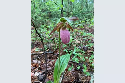 117 Woods View Trail, Fairview, NC 28730 - Photo 35