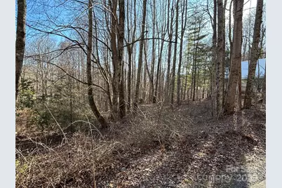 25 Little Creek, Maggie Valley, NC 28751 - Photo 5