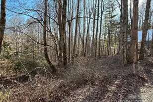 25 Little Creek, Maggie Valley, NC 28751 - Photo 5