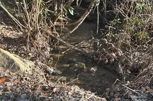 25 Little Creek, Maggie Valley, NC 28751 - Photo 3