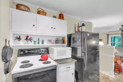 3605 Skyuka Mountain Road, Columbus, NC 28722 - Photo 9