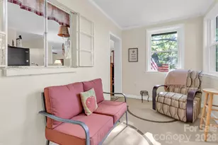 3605 Skyuka Mountain Rd, Columbus, NC 28722 - Photo 13