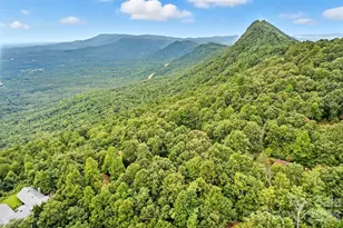 3605 Skyuka Mountain Rd, Columbus, NC 28722 - Photo 43