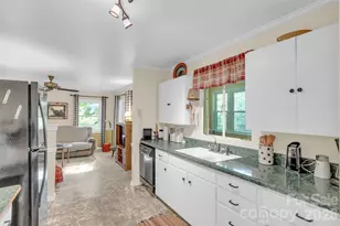 3605 Skyuka Mountain Rd, Columbus, NC 28722 - Photo 9