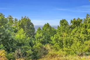 3605 Skyuka Mountain Rd, Columbus, NC 28722 - Photo 29