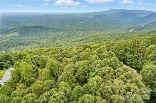 3605 Skyuka Mountain Rd, Columbus, NC 28722 - Photo 41