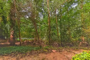 6500 Clavell Ln, Charlotte, NC 28210 - Photo 13