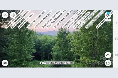 186 Black Ridge Drive, Bostic, NC 28018 - Photo 47