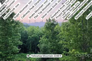 186 Black Ridge Dr, Bostic, NC 28018 - Photo 47