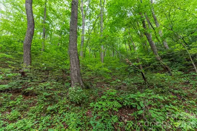 Tbd Summer Haven Road #1-6, Swannanoa, NC 28778 - Photo 13
