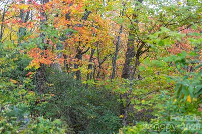 Tbd Summer Haven Road #1-6, Swannanoa, NC 28778 - Photo 35