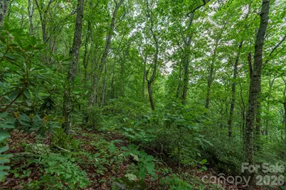 Tbd Summer Haven Road #1-6, Swannanoa, NC 28778 - Photo 7