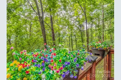 346 Wendy Way, Clyde, NC 28721 - Photo 35