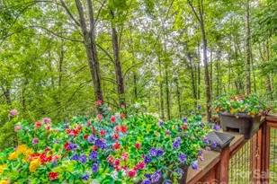 346 Wendy Way, Clyde, NC 28721 - Photo 35