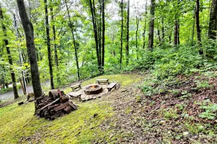 346 Wendy Way, Clyde, NC 28721 - Photo 39