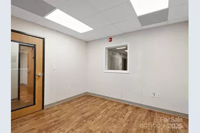 447 Lily Pad Lane, Flat Rock, NC 28731 - Photo 27