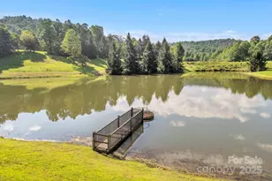 926 White Oak Mountain Rd, Columbus, NC 28722 - Photo 41