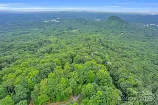 926 White Oak Mountain Rd, Columbus, NC 28722 - Photo 39