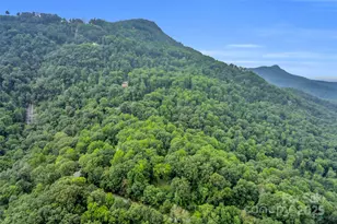 926 White Oak Mountain Rd, Columbus, NC 28722 - Photo 37