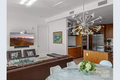 7 Patton Avenue #1503, Asheville, NC 28801 - Photo 13