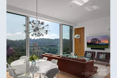 7 Patton Avenue #1503, Asheville, NC 28801 - Photo 9